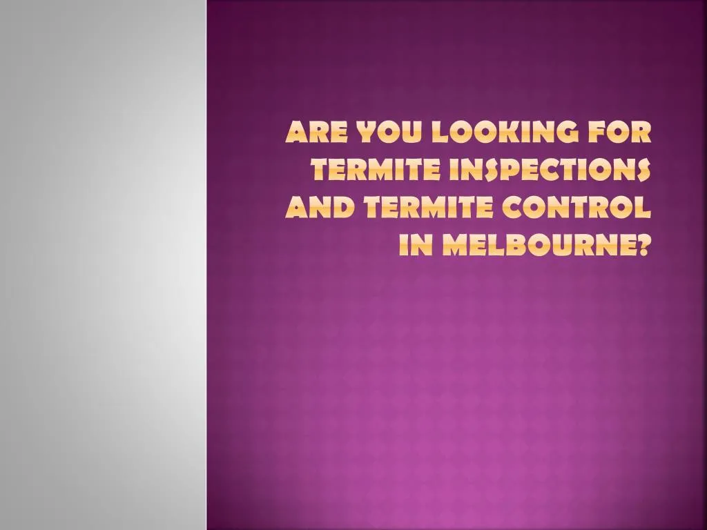 are you looking for termite inspections and termite control in melbourne