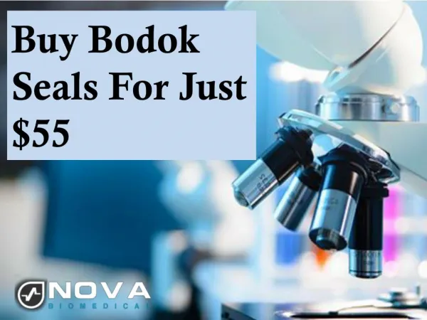 Buy Bodok Seals For Just $55