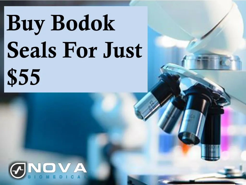 buy bodok seals for just 55