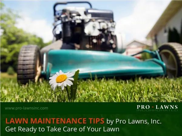 Commercial Lawn Maintenance - Summer Tips