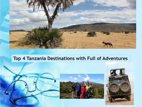 Top 4 Tanzania Destinations with Full of Adventures