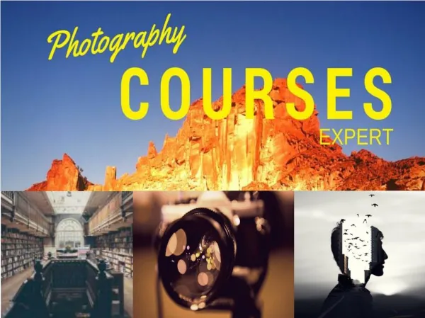 Photography Courses for Free