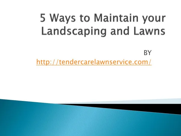 5 Ways to Maintain your Landscaping and Lawns