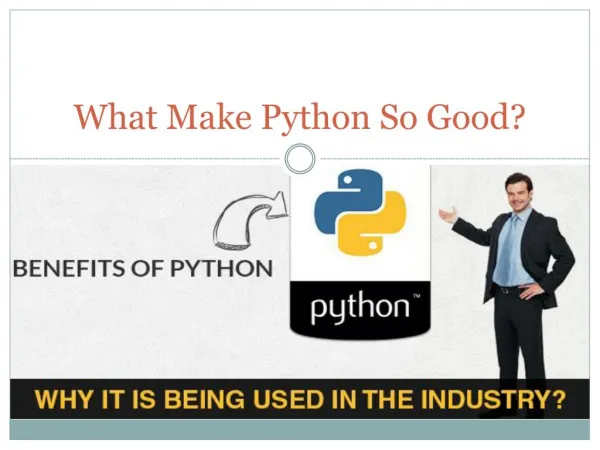 What Make Python so Good?