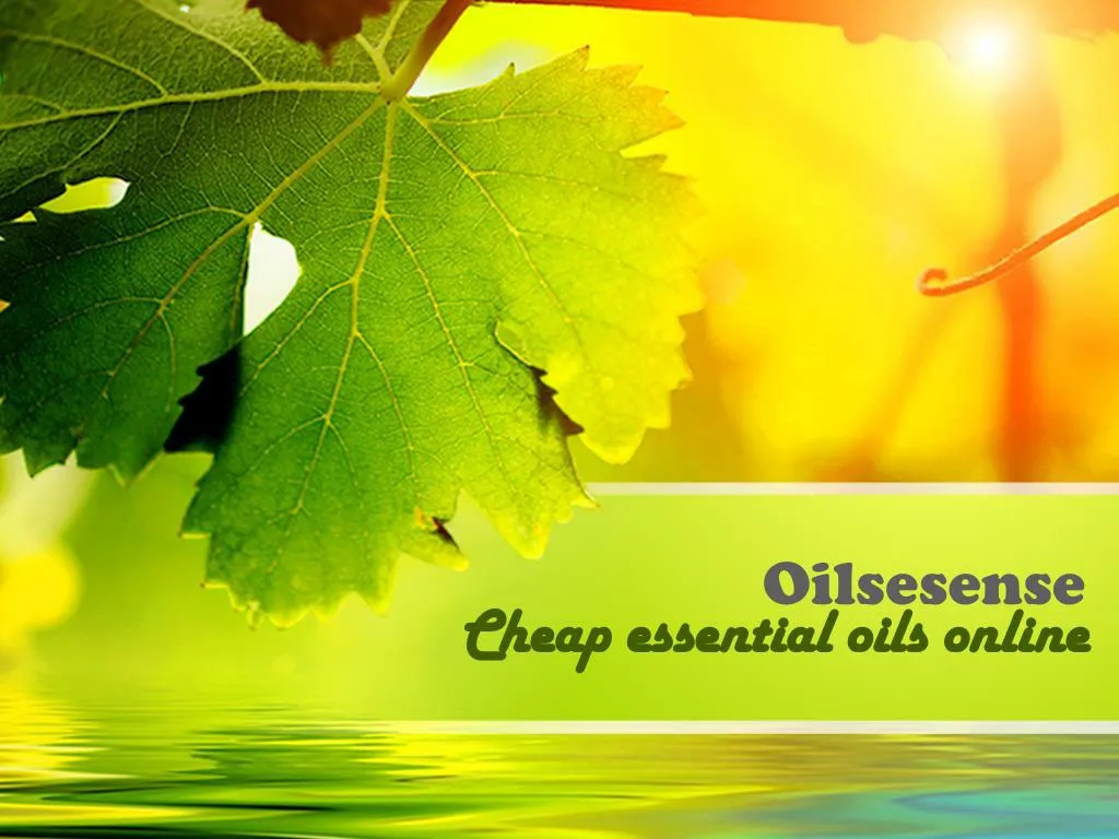 cheap essential oils online