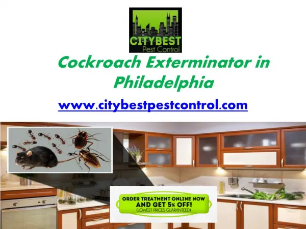 Cockroach Exterminator in Philadelphia - www.citybestpestcontrol.com