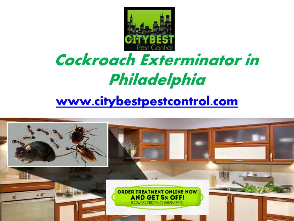 cockroach exterminator in philadelphia