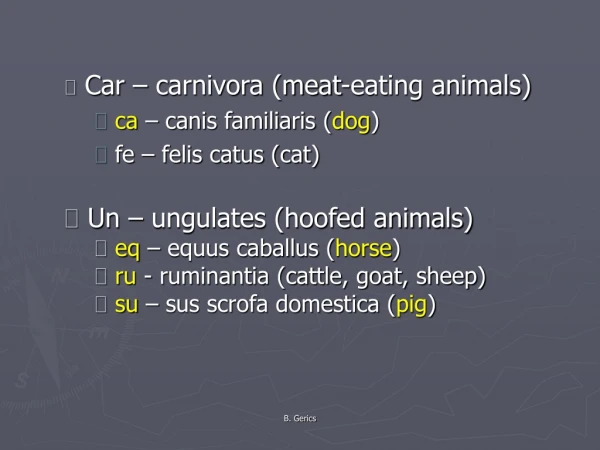 Car – carnivora (meat-eating animals) ca – canis familiaris ( dog ) fe – felis catus (cat)