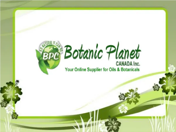 Quality Essential Oils in Canada and USA