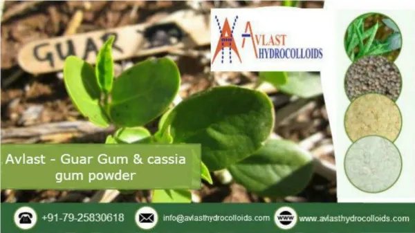 Avlast Hydrocolloids – Guar Gum and Cassia Gum Powder Manufacturer