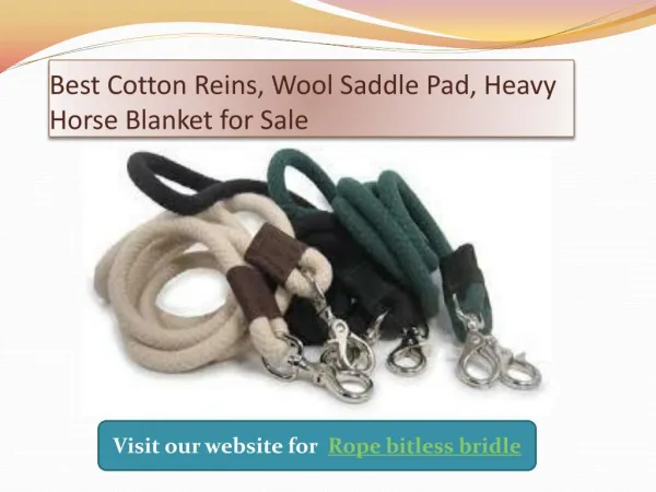 Best rope bitless bridle