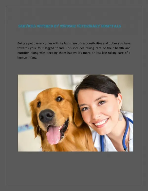 Services offered by Windsor veterinary hospitals