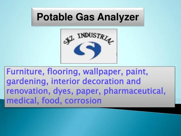 Potable Gas Analyzer