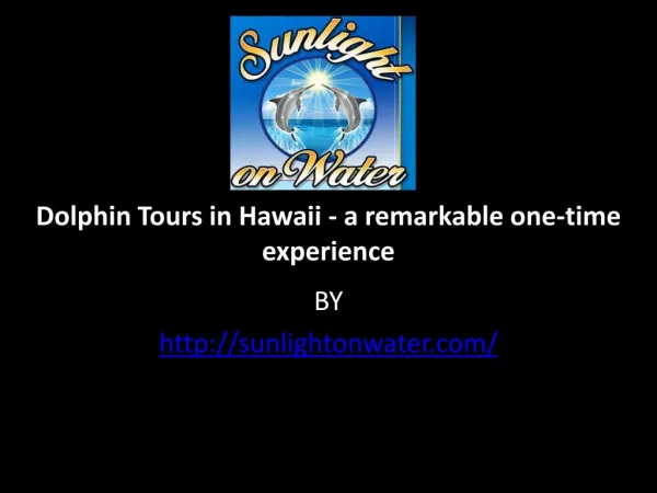 Dolphin Tours in Hawaii