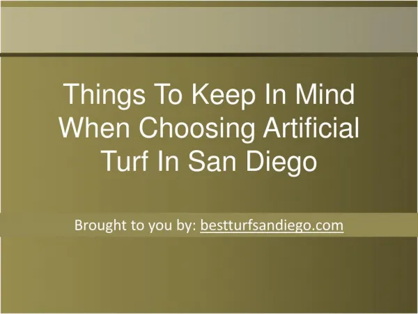 Things To Keep In Mind When Choosing Artificial Turf In San Diego