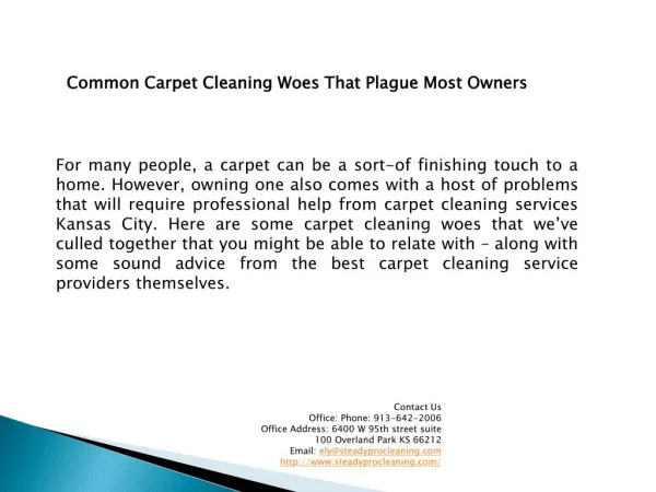 Steadyprocleaning.com Kansas City Carpet Cleaning Services
