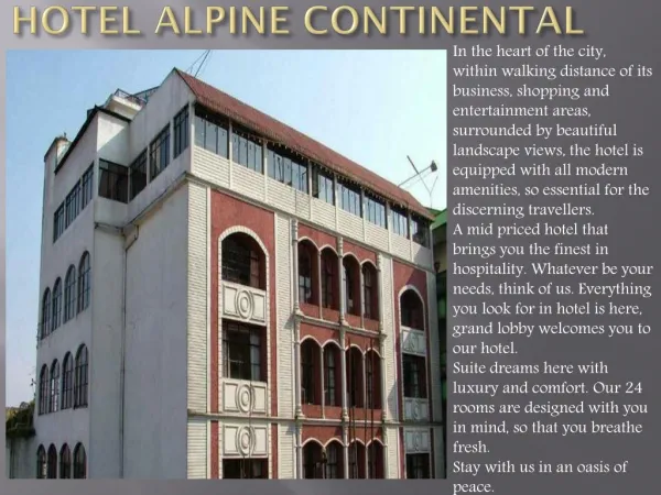 Hotel Alpine Continental