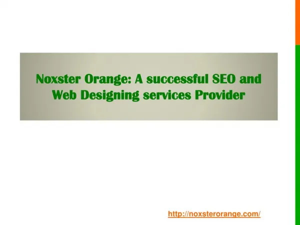 Noxster Orange: A successful SEO and Web Designing services Provider