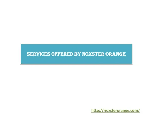 Services Offered by Noxster Orange