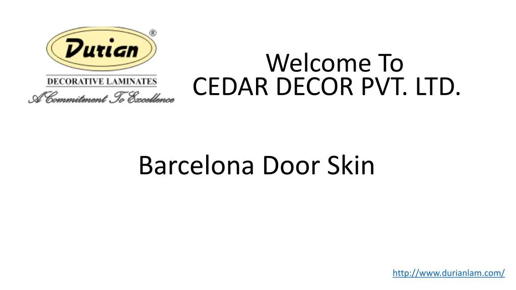 barcelona door skin