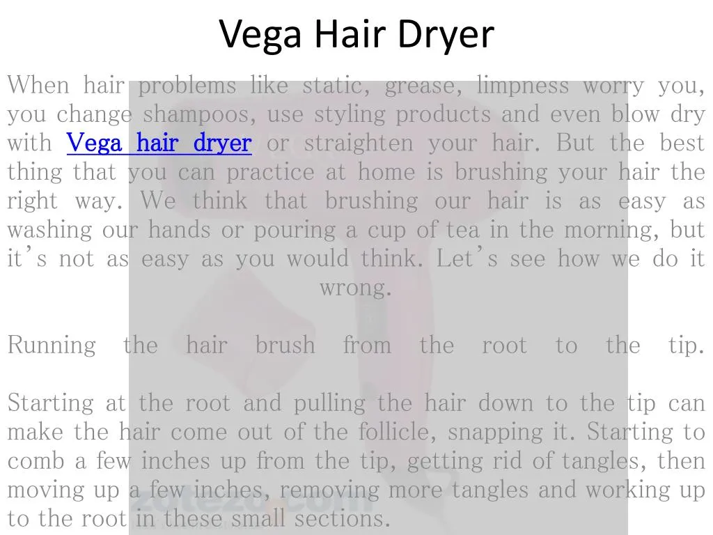vega hair dryer
