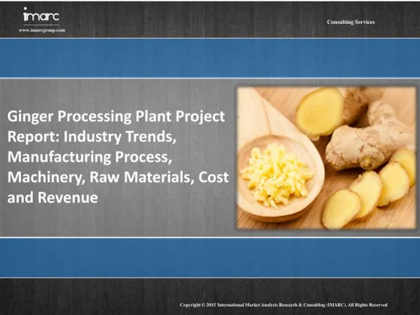 Ginger Processing Plant Project Report