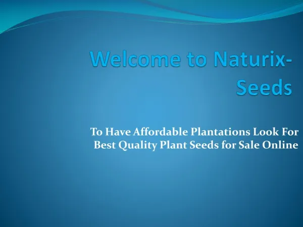 To Have Affordable Plantations Look For Best Quality Plant Seeds for Sale Online