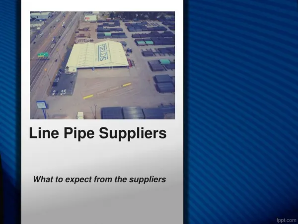 What to Expect from the Suppliers