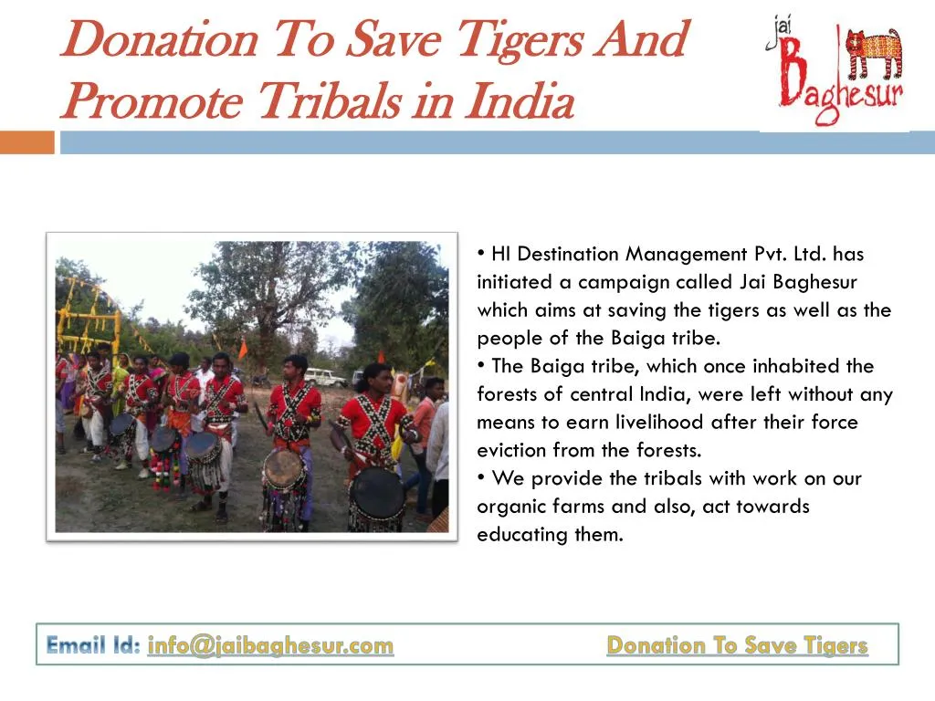donation to save tigers and promote tribals in india