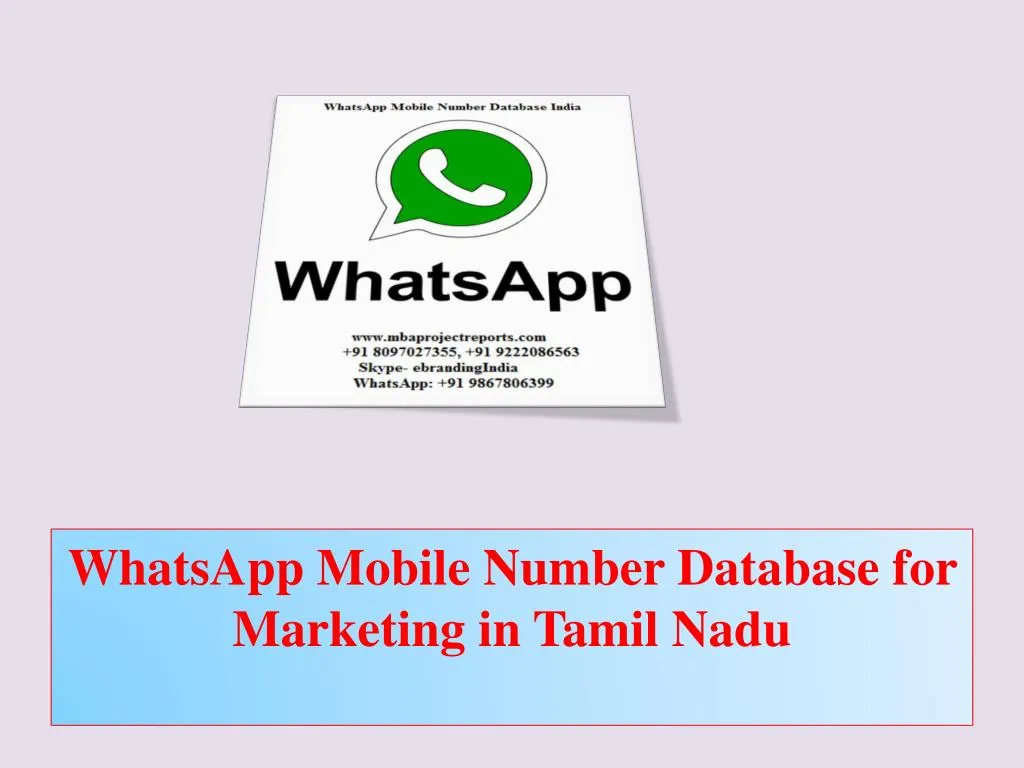 whatsapp mobile number database for marketing in tamil nadu