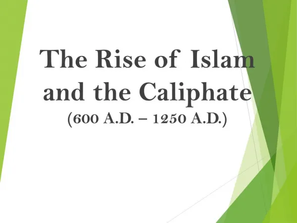 Mayer - World History - Islam and the Caliphate