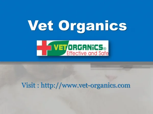 Dog Ear Mites - www.vet-organics.com