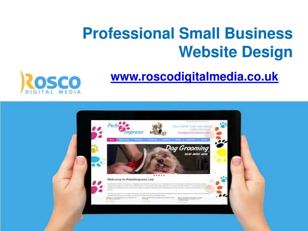professional small business website design
