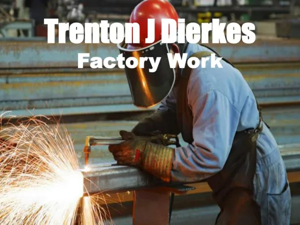 Trenton J Dierkes - Factory Work
