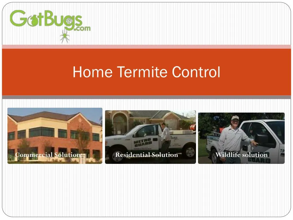home termite control
