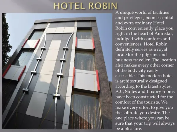 Hotel Robin