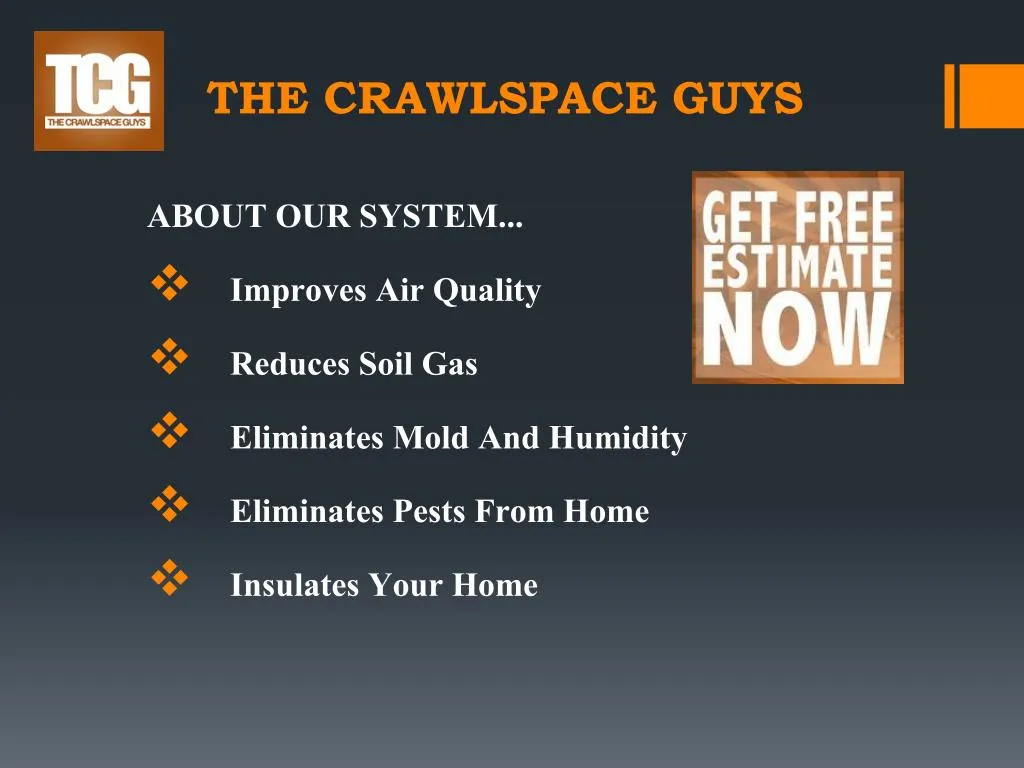 the crawlspace guys