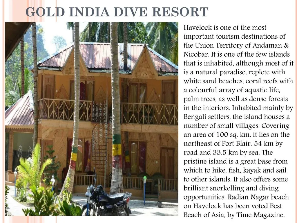 gold india dive resort