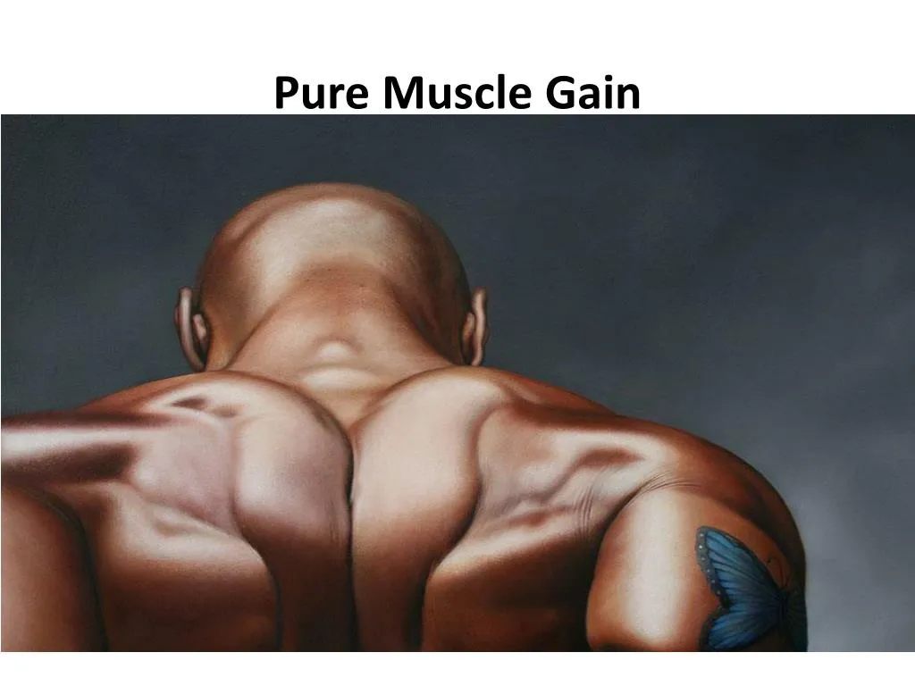 pure muscle gain