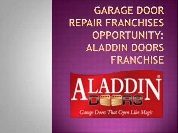 Best Garage Door Repair Franchise Opportunity in Illinois