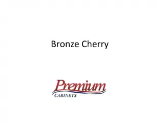 Buy Shaker Cabinets in Stevensville - slide 1
