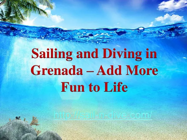 Sailing and Diving in Grenada – Add More Fun to Life