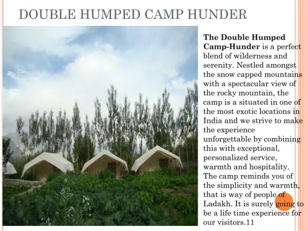 DOUBLE HUMPED CAMP HUNDER