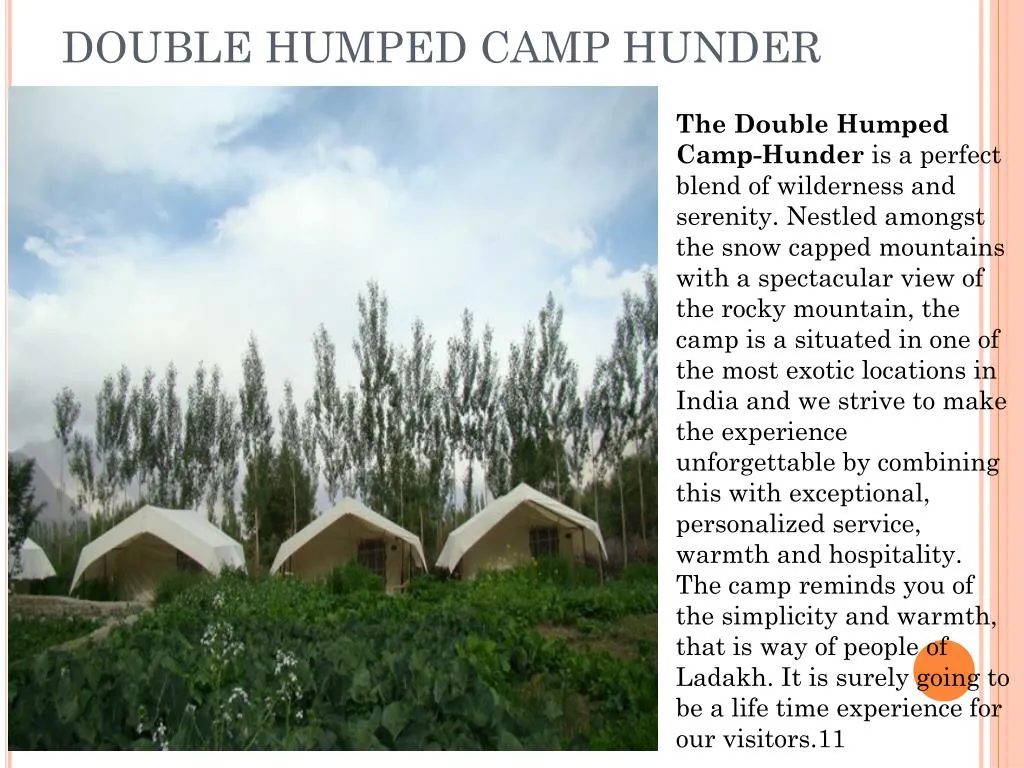 double humped camp hunder
