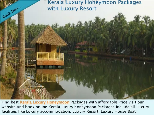 Kerala Luxury Honeymoon Packages with Luxury Resort