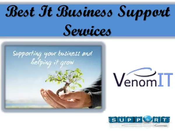 Best It Business Support Services