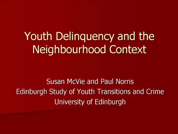 Youth Delinquency and the Neighbourhood Context