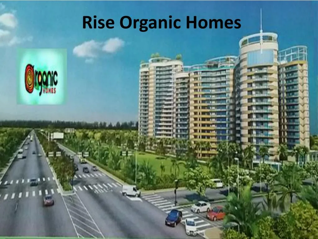 rise organic homes
