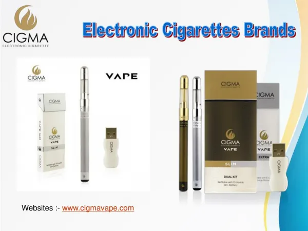 Electronic Cigarettes Smoking Device