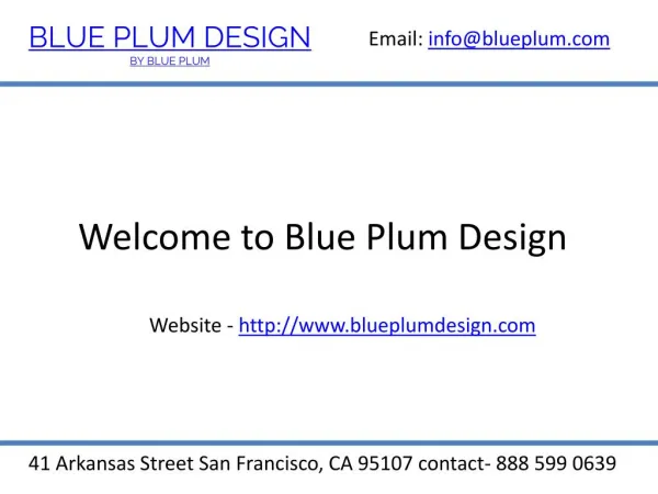 Luxury Kitchen Cabinets-BluePlumDesign.com